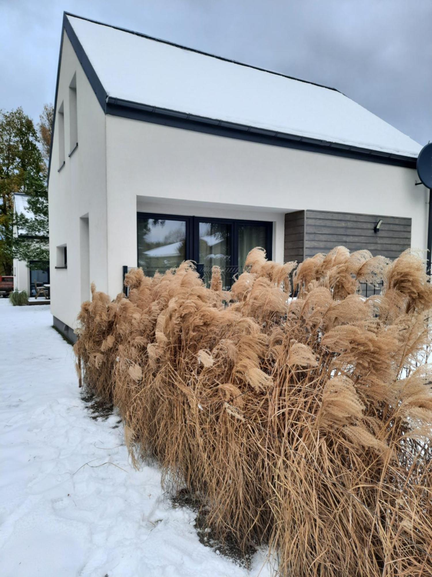 Sosnowe Zacisze Villa Sasino Bagian luar foto