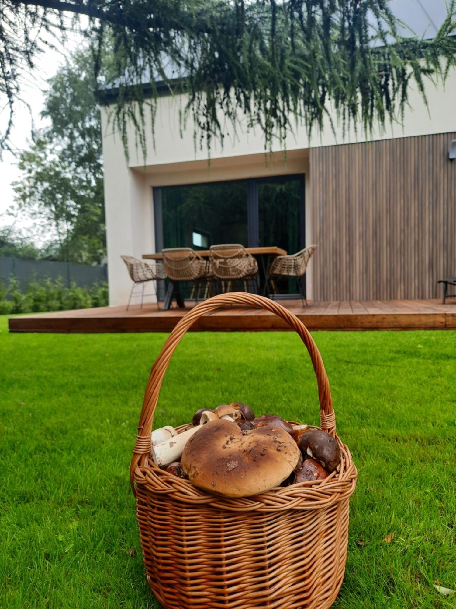 Sosnowe Zacisze Villa Sasino Bagian luar foto