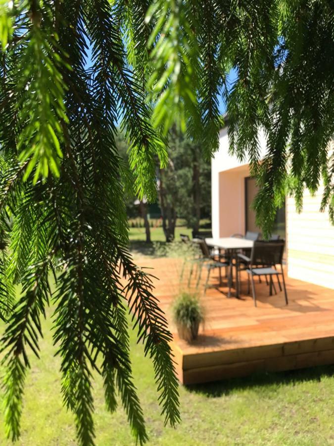 Sosnowe Zacisze Villa Sasino Bagian luar foto